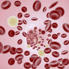 Creating Universal Blood