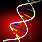How to Extract DNA at Home